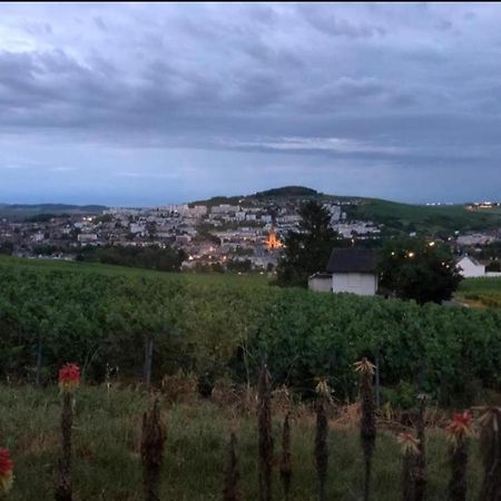 Dans Les Vignes D'Epernay Villa Exterior foto