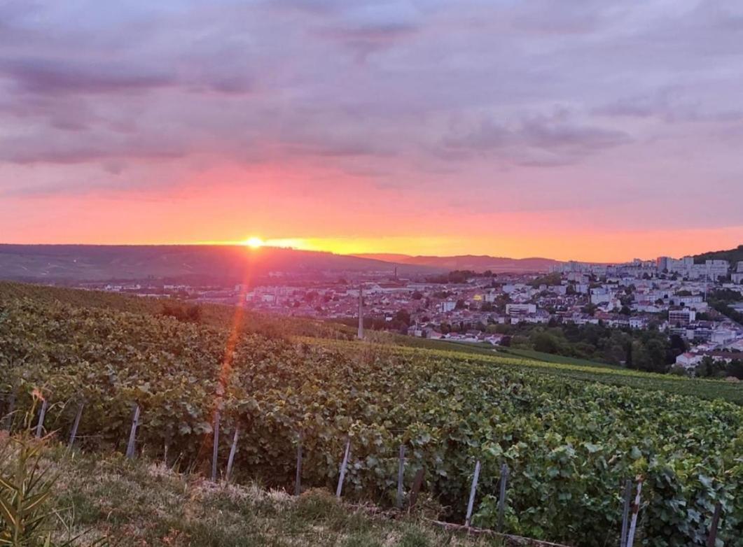 Dans Les Vignes D'Epernay Villa Exterior foto