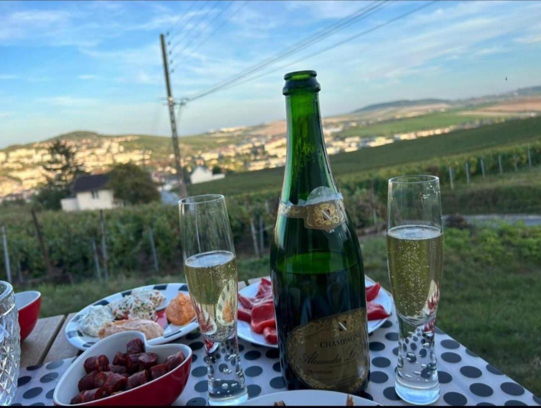 Dans Les Vignes D'Epernay Villa Exterior foto