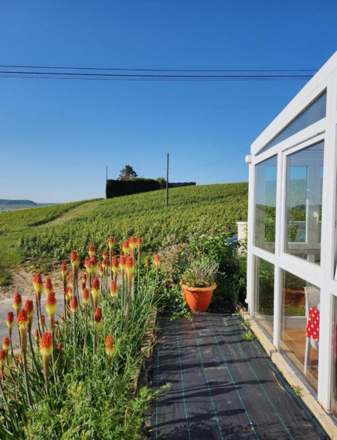 Dans Les Vignes D'Epernay Villa Exterior foto